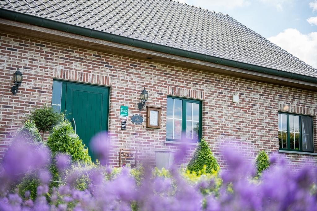 B&B De Bergvallei Oedelem Kültér fotó